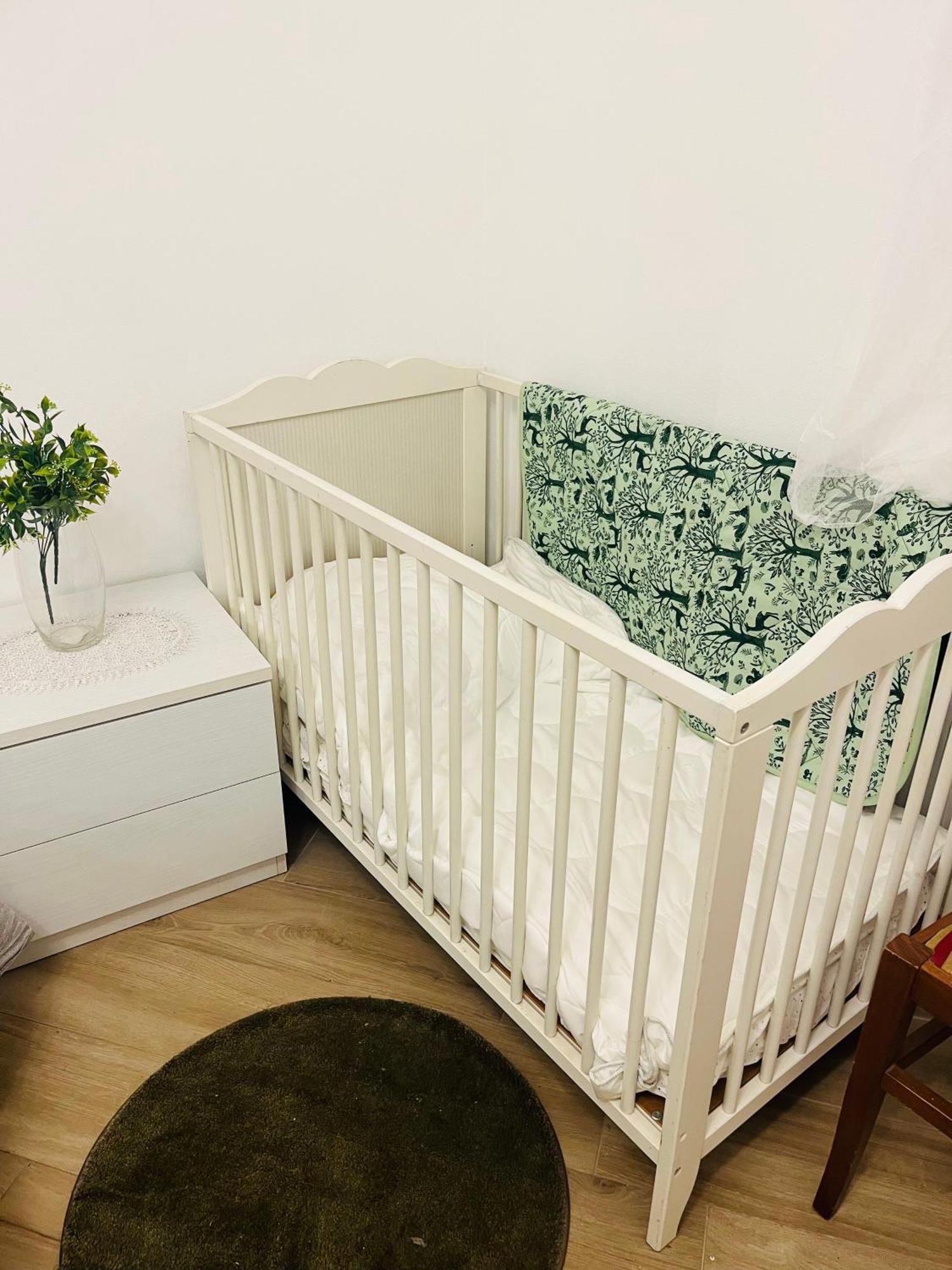 ローマLarge Gardenアパートメント エクステリア 写真